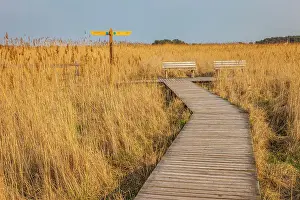 Baltic Sea Prints: Hiking trail in the Western Pomerania Lagoon Area National Park at Darsser Ort