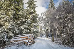 Nordrhein Westfalen Prints: Hiking trail in the winter forest at Kahler Asten near Winterberg