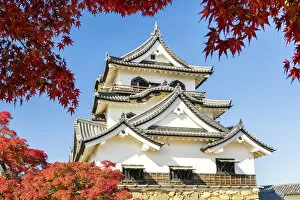 Images Dated 4th March 2020: Hikone Castle in Autumn, Shiga Prefecture, Japan