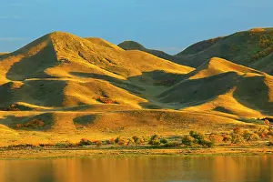 Hills along the South Saskatchewan River Saskatchewan Landing Provincial Park Saskatchewan, Canada