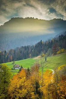 Images Dated 15th November 2018: Hillside above lake Lungern, Obwalden, Switzerland