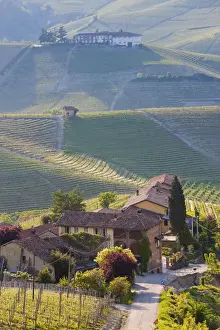 Mediteranean Country Prints: Hillsides covered with vineyards, nr Castiglione Falletto, Piedmont (or Piemont or