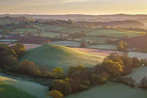 April Prints: Hilltop tree in patchwork rolling countryside, Devon, England. Spring (April) 2024