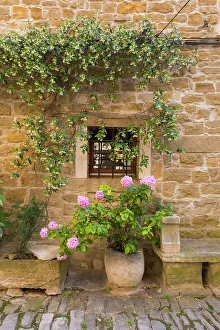 Images Dated 29th June 2023: Hilltop village of Groznjan, Istria, Croatia