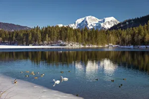 Ramsau Prints: Hintersee above Ramsau, Upper Bavaria, Bavaria, Germany