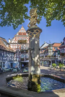 Geografisch Prints: Historic lion fountain on the market square of Idstein, Hesse, Germany