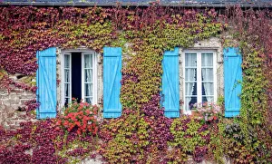Window Prints: Historic stone house with wild vine in Saint-Thegonnec, Finistere, Brittany, France