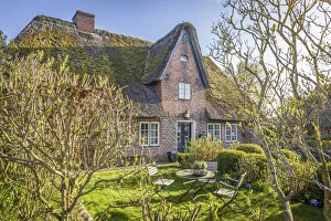 Country House Prints: Historic thatched roof house in Tinnum, Sylt, Schleswig-Holstein, Germany
