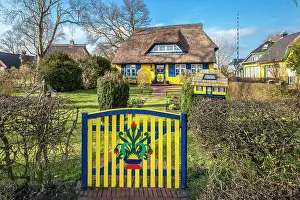 Historical brightly painted thatched roof house in Born am Darsz, Mecklenburg-Western Pomerania, Baltic Sea, Northern Germany, Germany