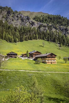 Historical mountain farms in Kalkstein in Villgratental, East Tyrol, Tyrol, Austria