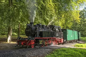The historical Rugensche Baderbahn steam train called 'Rasender Roland', Rugen