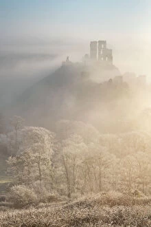Foggy Collection: Hoar Frost and freezing fog at Corfe Castle in the Purbeck Hills, Dorset, England