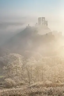Hoar Frost Prints: Hoar Frost and freezing fog at Corfe Castle in the Purbeck Hills