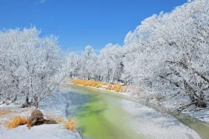 Beauty Prints: Hoarfrost covered landscape Hazelridge, Manitoba, Canada