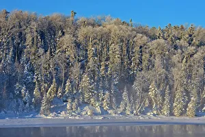 Evergreen Prints: Hoarfrost on trees. Lac Seul Ear Falls, Ontario, Canada