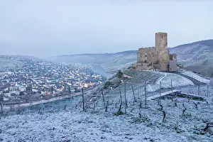 Castle Ruins Prints: Hoarfrost and winter vineyards with castle ruins of Landshut and Bernkastel-Kues