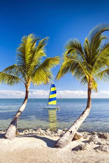 Holiday Destination Collection: Hobie Cat & Palm Trees, Islamorada, Florida Keys, USA