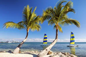 Americana Prints: Hobie Cats & Palm Trees, Islamorada, Florida Keys, USA