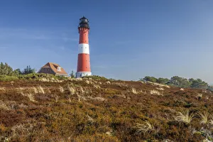 Heide Prints: Hoernum lighthouse, Sylt, Schleswig-Holstein, Germany