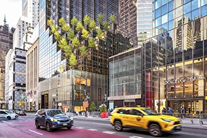 Stores Prints: Holiday Shopping on Fifth Avenue with Luxury Brand
