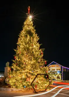 Christmas Lights Prints: Holiday tree with lights, Kennebunkport, Maine, USA