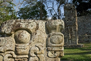 Honduras, Copan, Maya Ruins of Copan, a UNESCO World Heritage Site