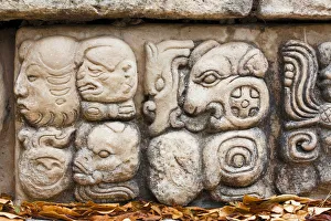 Honduras Prints: Honduras, Copan Ruinas, Copan Ruins, East Court, Patio de Los Jaguares