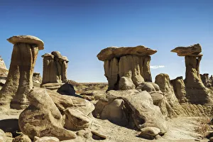 Desolate Gallery: Hoodoos, Bisti Wilderness Area, New Mexico, USA