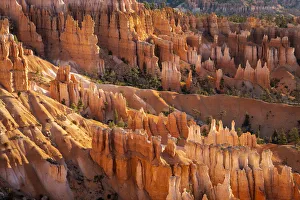 Hoodoos in Bryce Canyon amphitheater after sunrise, Sunset Point