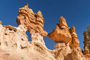 Images Dated 26th April 2022: Hoodoos in Bryce Canyon National Park, Utah, USA