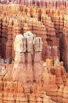 Utah Collection: Detail of hoodoos, Inspiration Point, Bryce Canyon National Park, Utah, USA