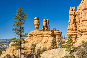 Images Dated 26th April 2022: Hoodoos in Red Canyon, Dixie National Forest, Utah, USA