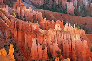 Sunset Point Prints: Detail of hoodoos, Sunset Point, Bryce Canyon National Park, Utah, USA