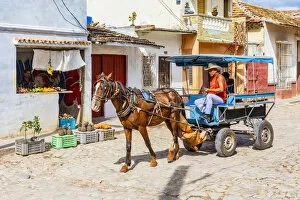 Images Dated 29th May 2020: A horse and carriage in a street in Trinidad, Sancti Spiritus, Cuba