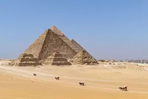 Horse and carridge at the Pyramids of Giza, Giza, Cairo, Egypt