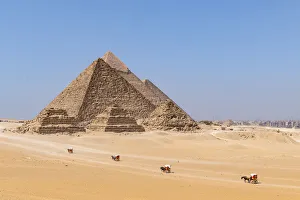 Horse and carridge at the Pyramids of Giza, Giza, Cairo, Egypt Horse and carridge at the Pyramids of Giza, Giza, Cairo, Egypt