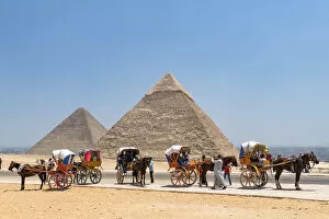 Cairo Collection: Horse and carridges at the Pyramids of Giza, Giza, Cairo, Egypt
