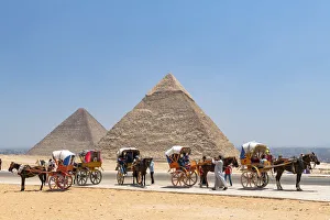 Horse and carridges at the Pyramids of Giza, Giza, Cairo, Egypt Horse and carridges at the Pyramids of Giza, Giza, Cairo, Egypt