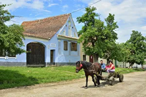 Saxon Prints: A horse and cart with a family in the Saxon village of Viscri, a Unesco World Heritage