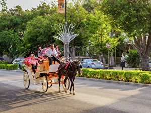 Horse-drawn Carriage at the Paseo de Montejo, Merida, Yucatan State, Mexico