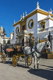 Images Dated 5th April 2016: Horse drawn carriage in front of the Plaza de toros de la Real Maestranza de Caballeria