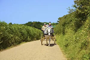 Images Dated 31st July 2015: Horse Drawn Carriage, Sark, Channel Islands, United Kingdom