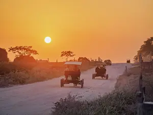 Dirt Road Prints: Horse-drawn carts on the dirt road at sunset