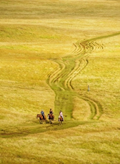 Images Dated 19th April 2017: Horse Ride up the Maunga Terevaka, Easter Island, Chile