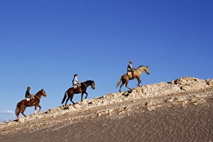 Adventure Sport Gallery: Horse riding along a ridge amongst the wind-eroded