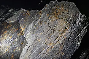 Rock Art Gallery: Two horses and two male ibex (Upper Paleolithic)