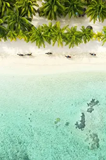 Mauritius Prints: Five horses and people walking on the beach, Unesco World Heritage Site, Mauritius