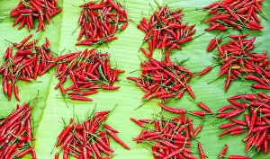 Bright Gallery: Hot chili peppers, Kyaing Tong market, Burma (Myanmar)
