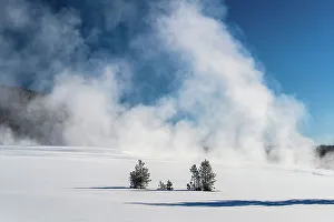 Carvings Prints: Hot spring and steam in a meadow near Terrace Spring