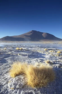 Natural Wonder Collection: Hot springs of Termas de Polques on the Altiplano, Potosi Department, Bolivia